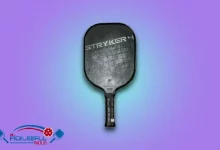 Onix Stryker 4 Graphite Pickleball Paddle