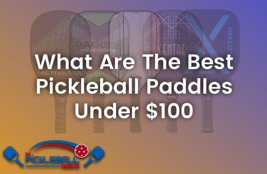 Amazing Finest Pickleball Paddles Under $100